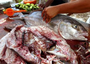 como montar uma peixaria