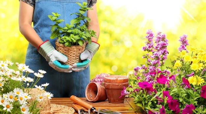 Fazer serviços de jardinagem