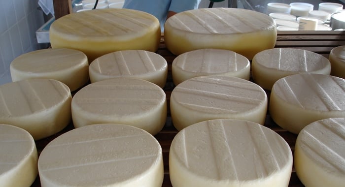 comprar queijo para revender