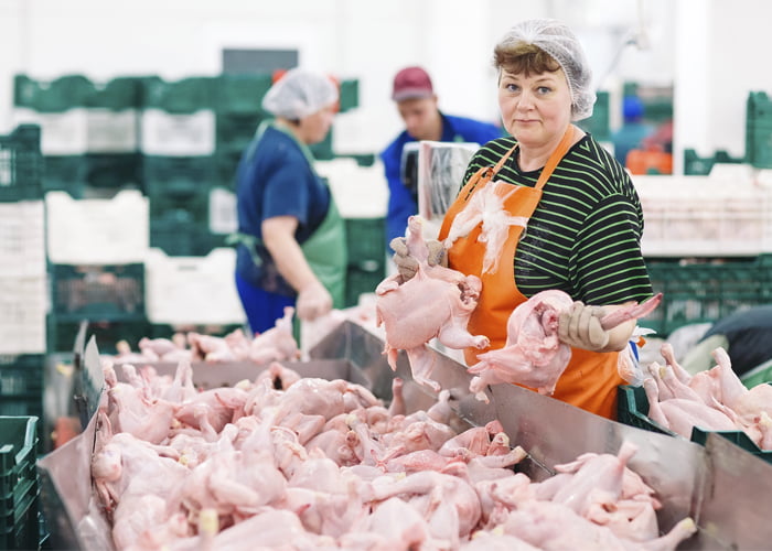 o que é preciso para montar um abatedouro de aves