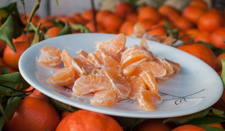 degustação de produtos