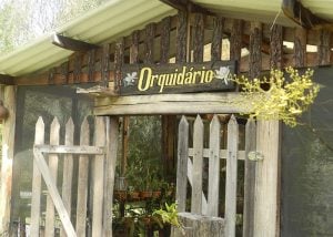 Como montar um orquidário comercial