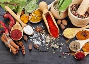 como montar uma fábrica de temperos secos