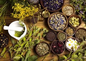 comprar ervas medicinais no atacado para revender