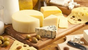 como montar uma mini queijaria