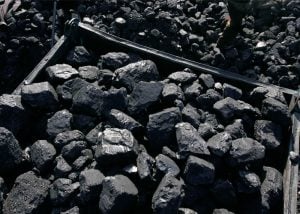 comprar carvão direto da carvoaria