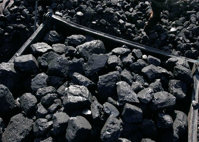 comprar carvão direto da carvoaria