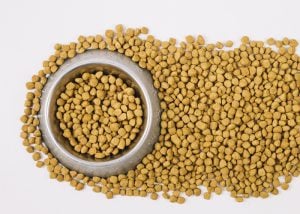 Como montar uma fábrica de ração