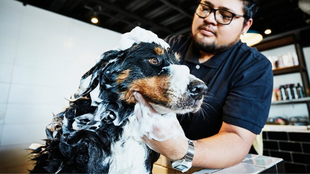 que tipo de comércio que dá mais lucro