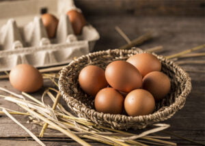 Como montar uma distribuidora de ovos