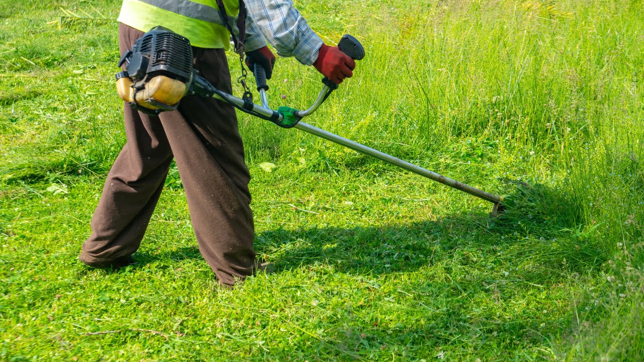 as pequenas máquinas que dão lucro