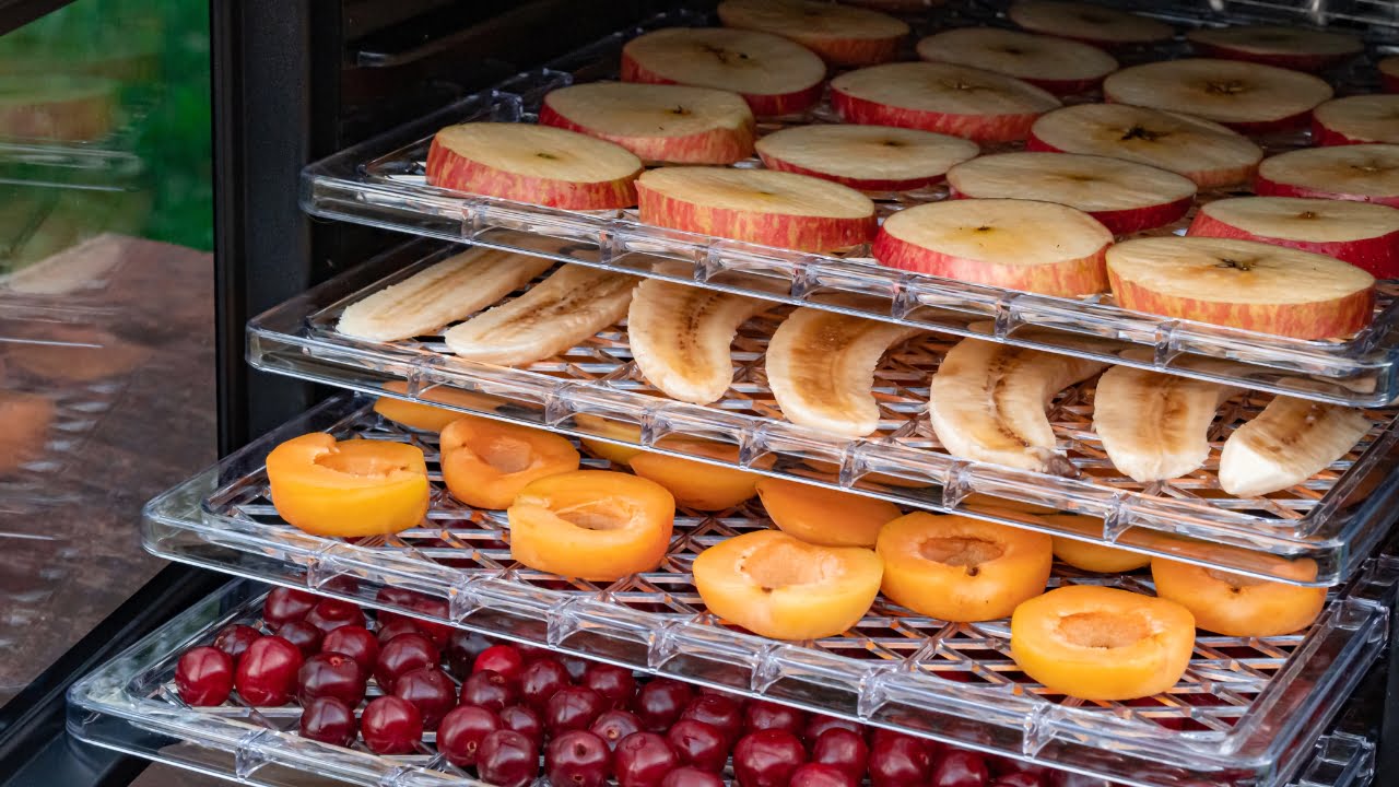 máquinas lucrativas para desidratar frutas
