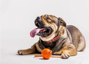 o que falta em cidade pequena