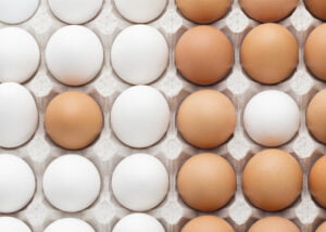 Vender ovo de galinha dá lucro