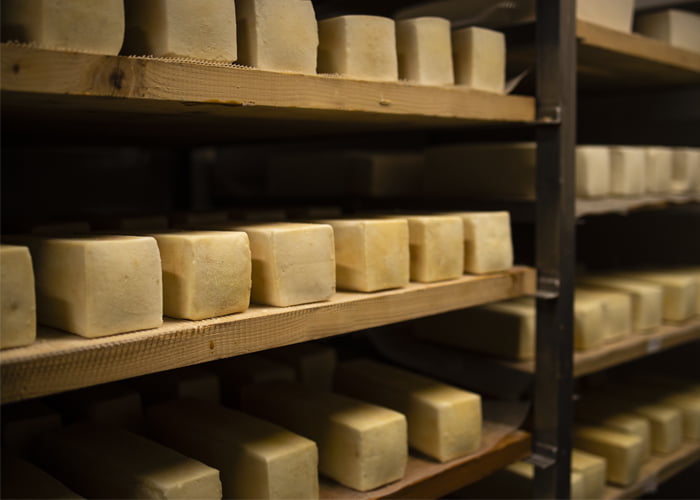 Como montar uma distribuidora de queijos