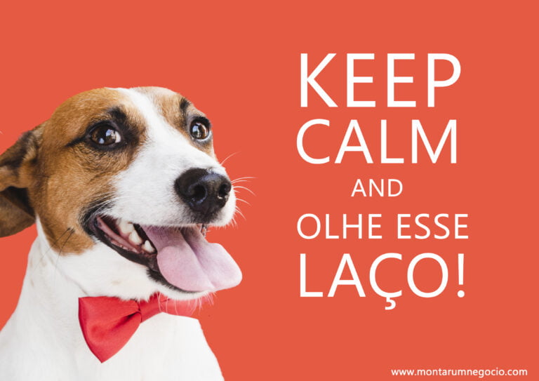 frases de laços
