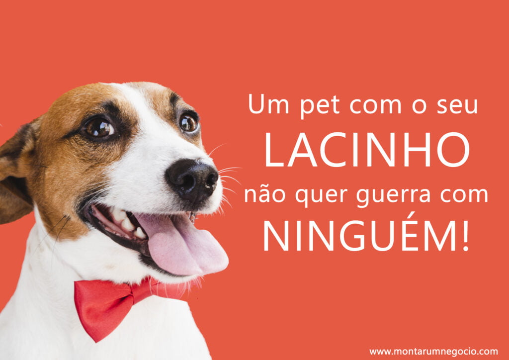 frases para divulgação de laços