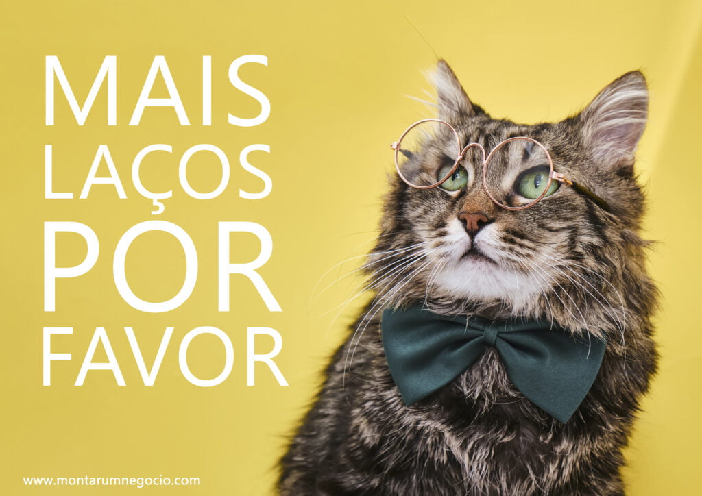 texto para divulgação de laços