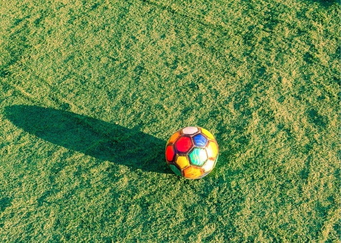 como ganhar dinheiro com pouca terra