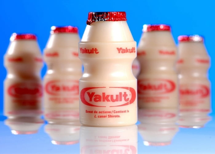 onde comprar Yakult no atacado