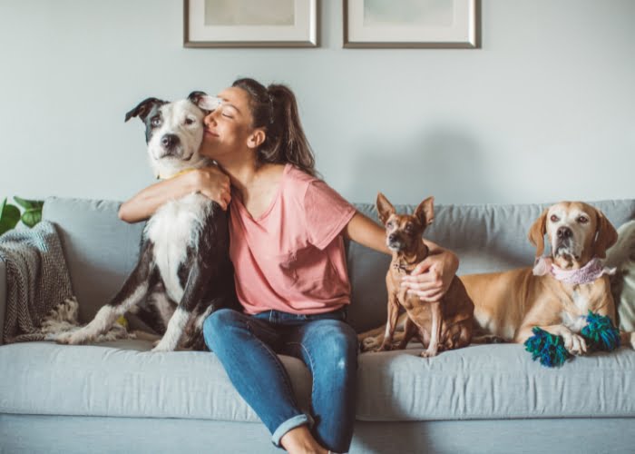 ideias para ganhar dinheiro sendo dona de casa