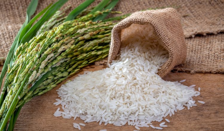 Os maiores produtores de arroz do Brasil