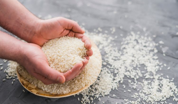 Os maiores produtores de arroz do mundo