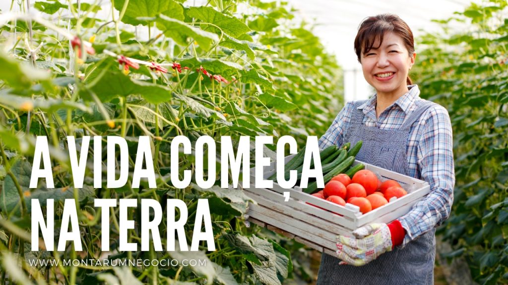 textos para fazer propaganda de loja agropecuária textos para fazer propaganda de loja agropecuária