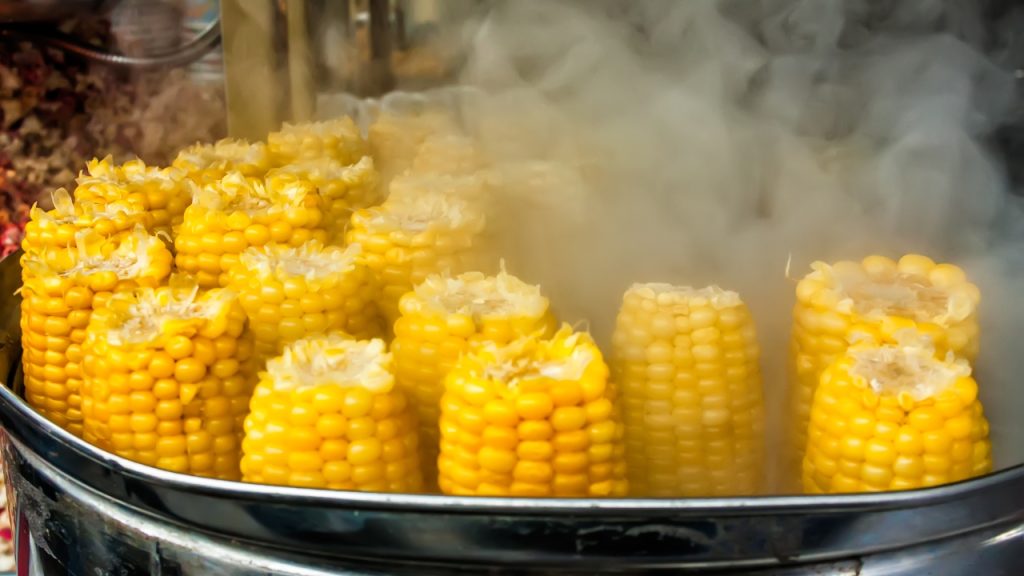 Como vender milho cozido na rua