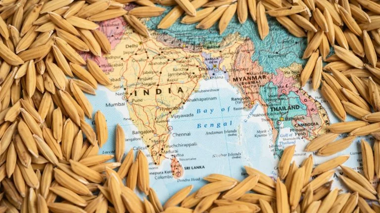 10 Maiores produtores de alimentos do mundo