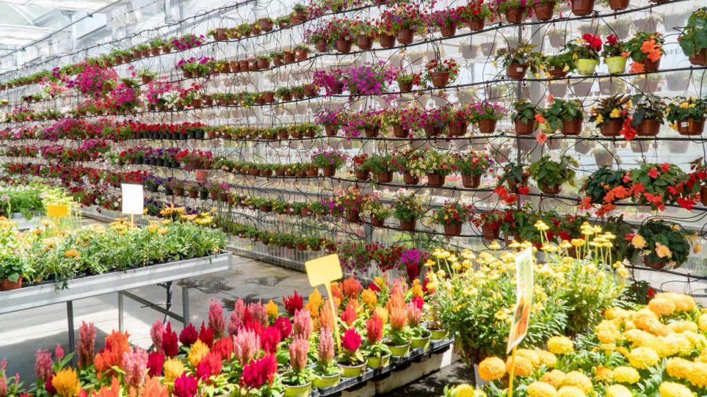 O que mais vende em uma loja agropecuária