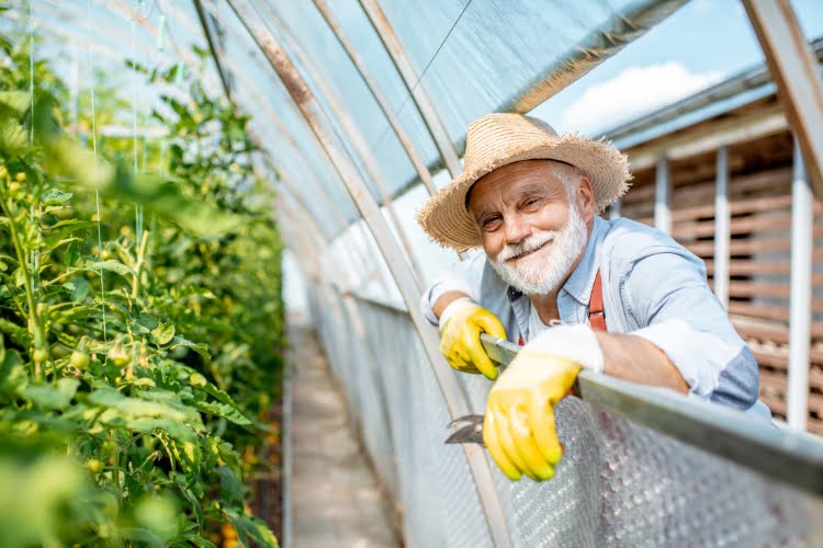 franquia Aggro em números