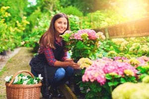 franquia de jardinagem