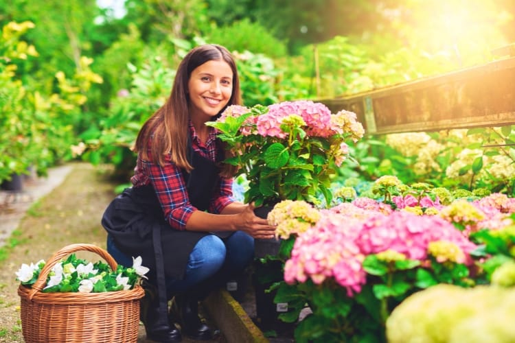 franquia de jardinagem