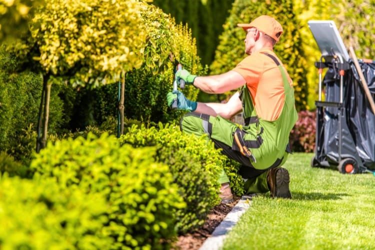 Infinity Vertical Gardens