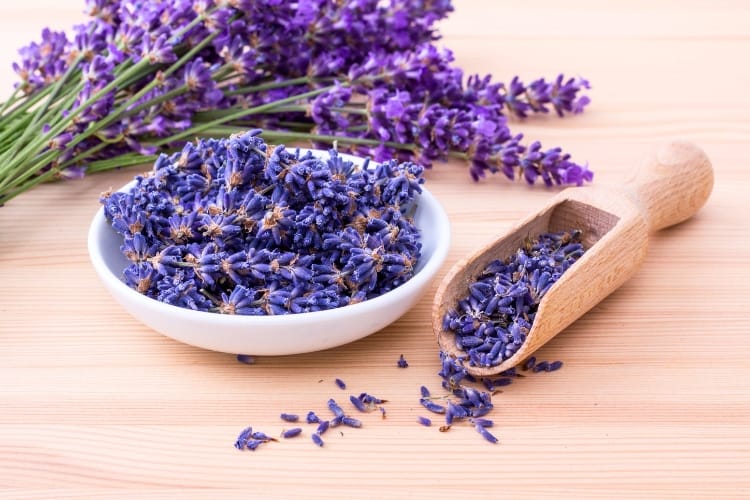 sorvete de lavanda
