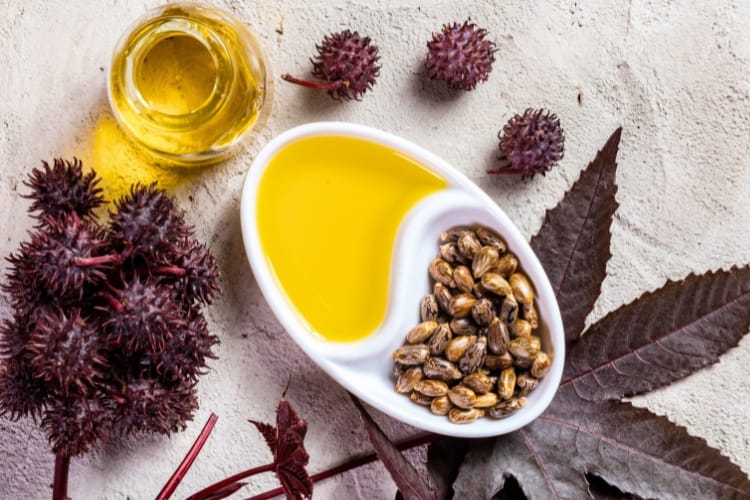 Plastificantes de mamona