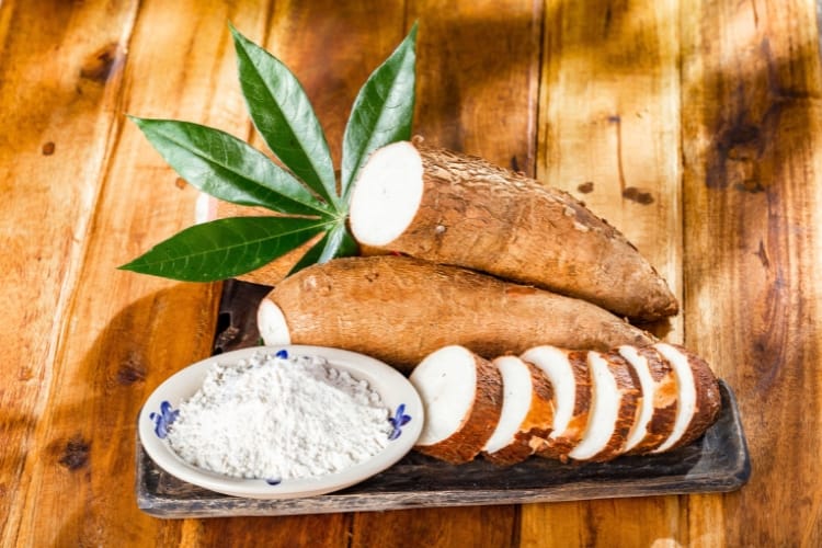 produtos derivados da mandioca