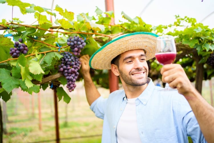 Casa de Bento Vinícola Aurora