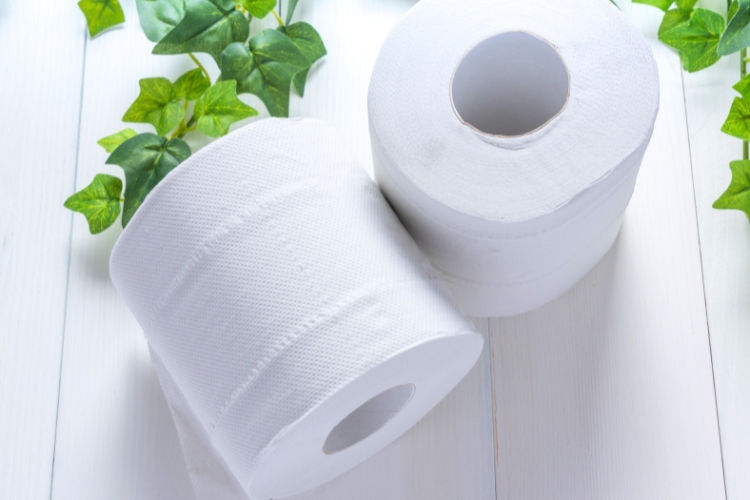 Quais são as marcas de papel higiênico