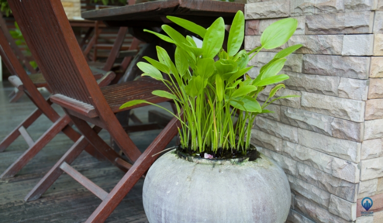 coisas diferentes para ganhar dinheiro